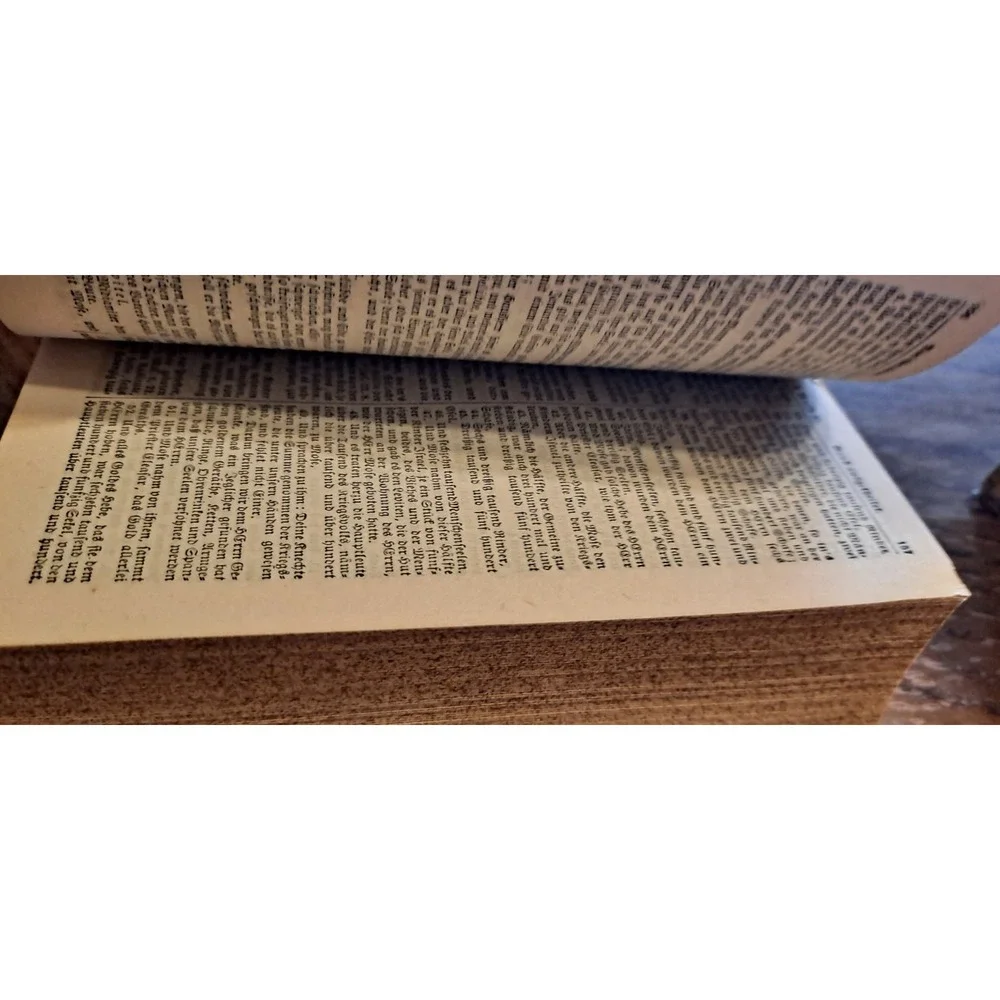 Die Bibel  ober Die Ganze Heilige Schrift bes Alten un Nuen Testament 1887